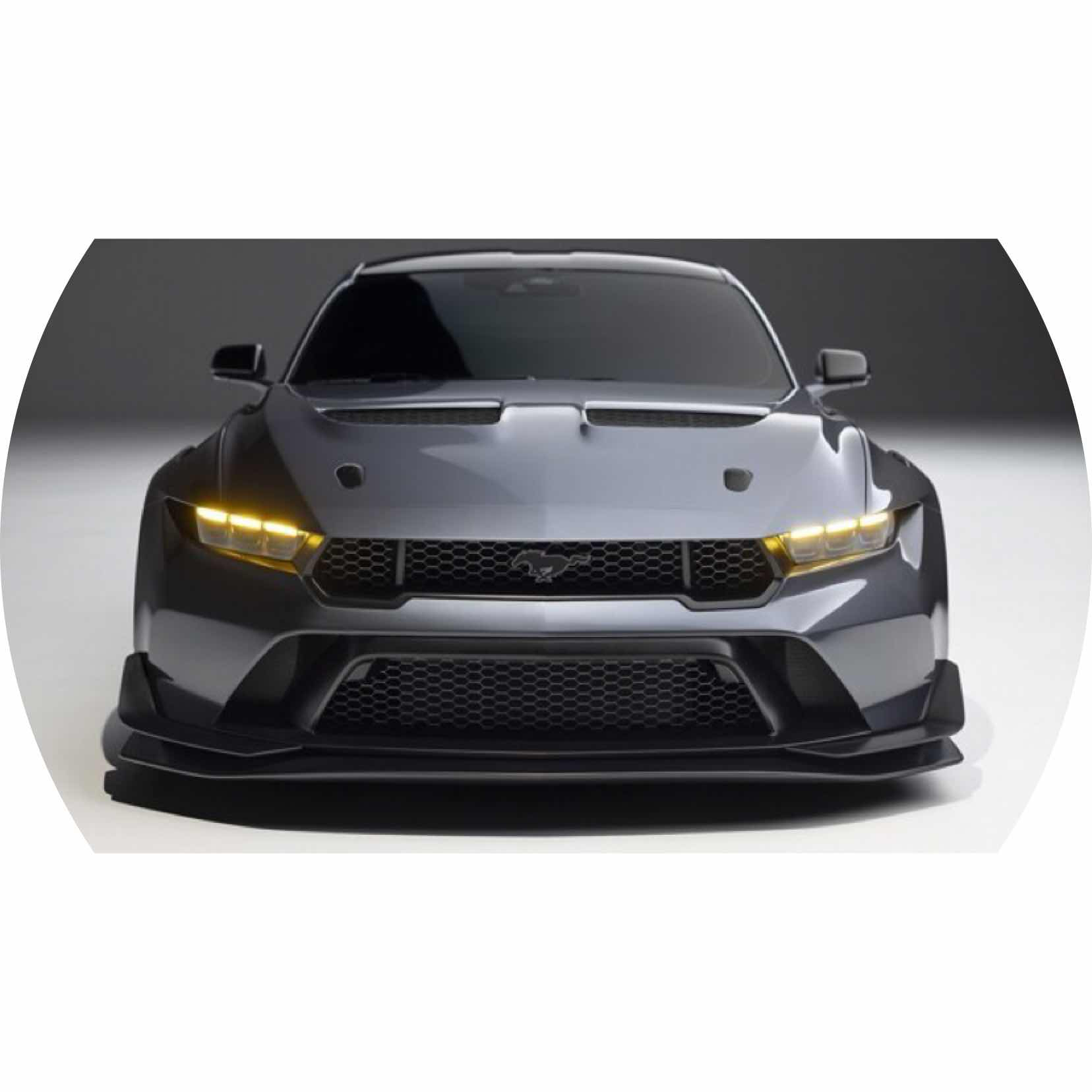 avatar of Need4speed0114