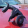 avatar of Izzy75446