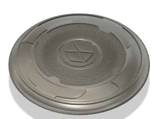 D2 Sentinel Shield with handle