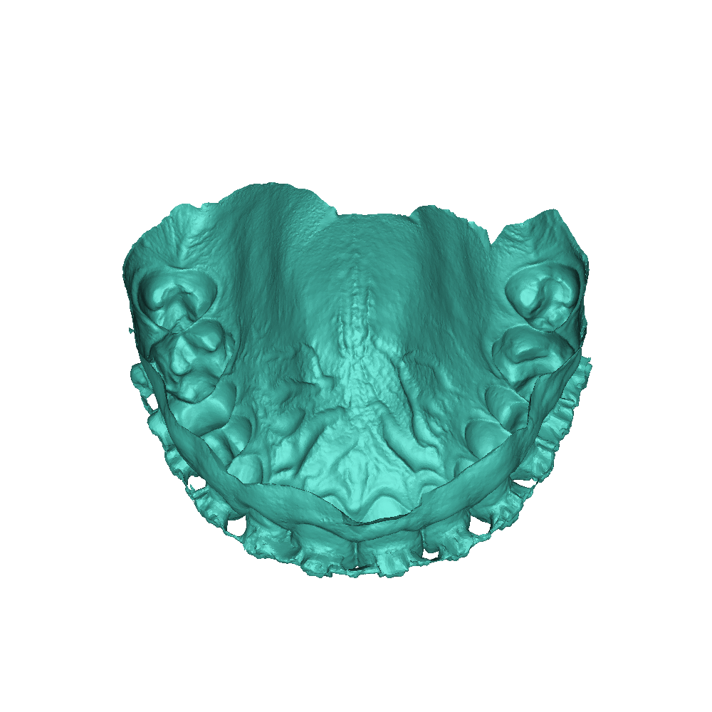 Lucimara Henriques 3D models download Creality Cloud