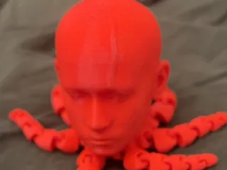 Kanyetopus