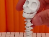Skeleton Man Articulated -0