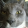 avatar of fatty thunder