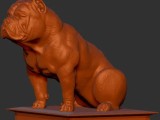 american bully sentado -5