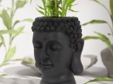 buda-0
