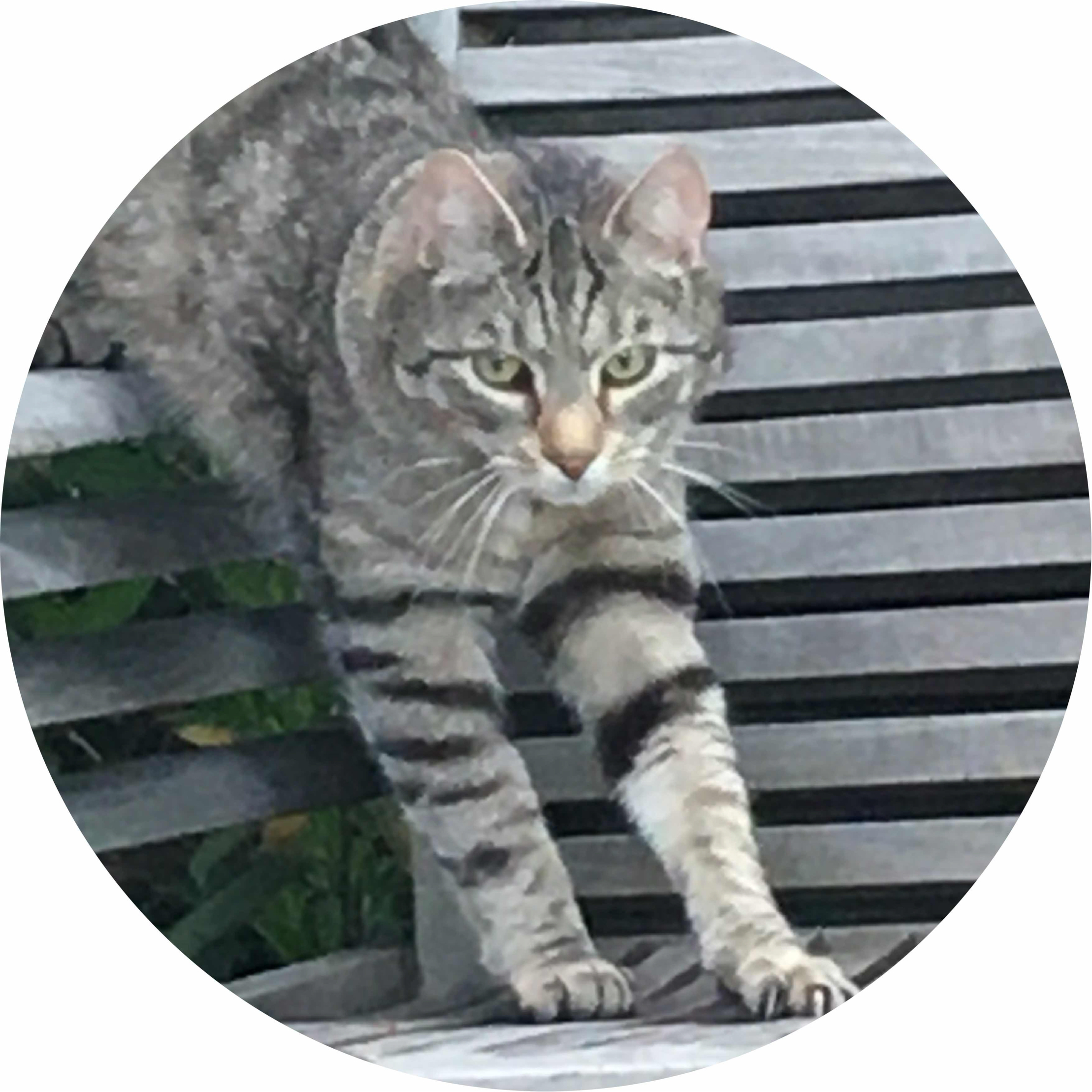 avatar of Ichbins0910