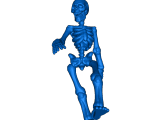 skeleton -2