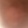 avatar of do0ogy