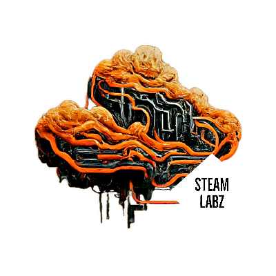 avatar of STEAM-Labz