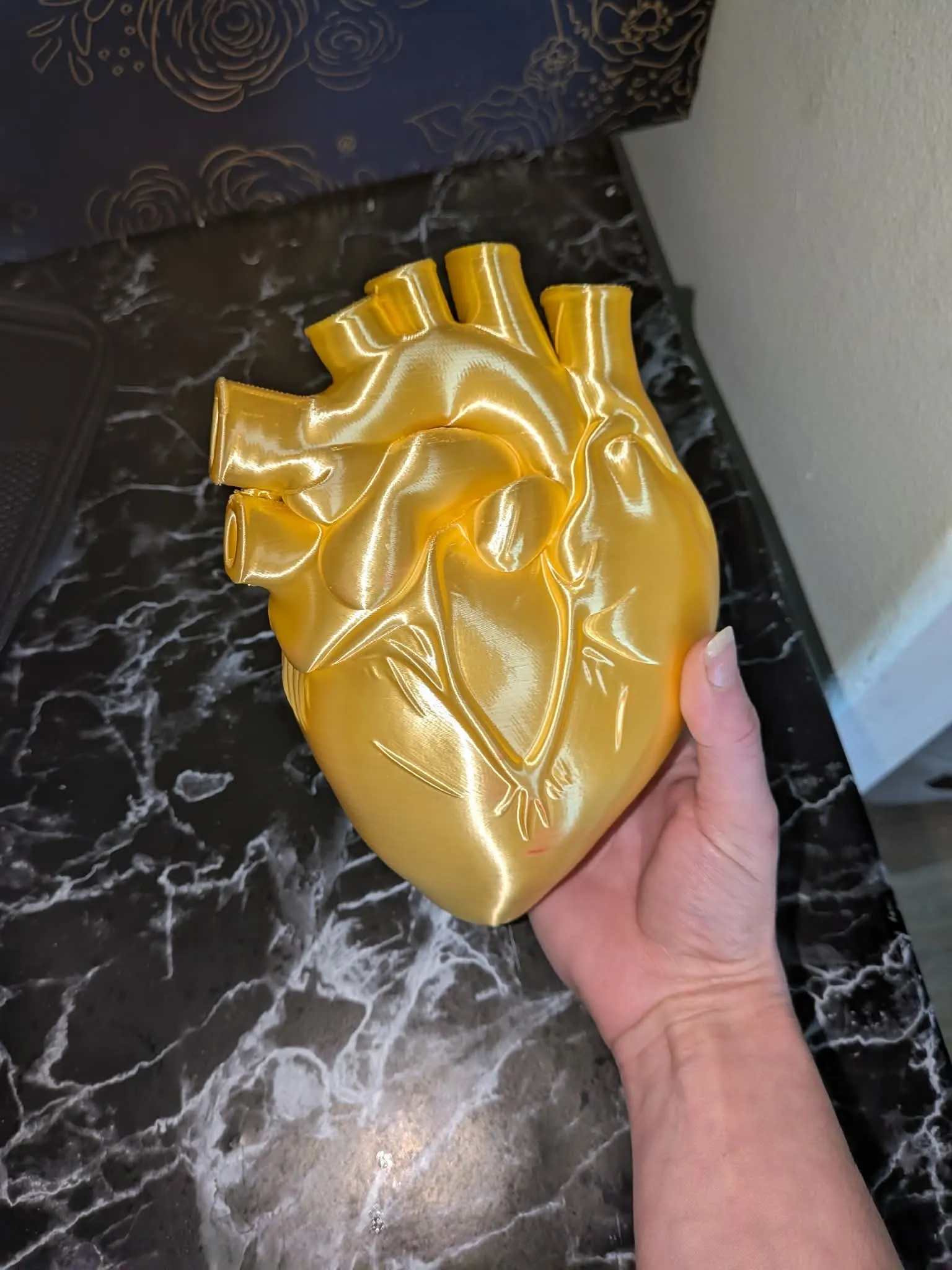 Anatomical Human Heart Model STL-3