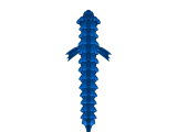 sea dragon little -0