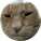 avatar of Blake_M