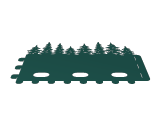 Baum-1
