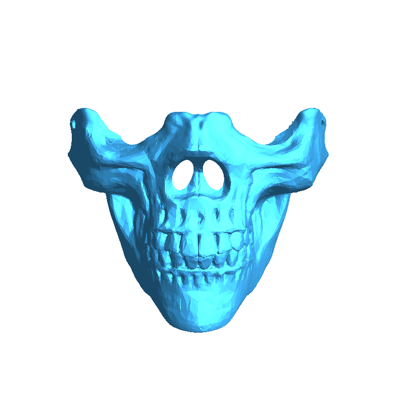 calavera