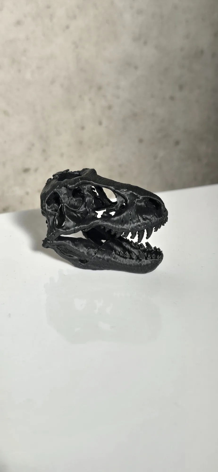Tyrannosaurus skull（by Revopoint POP 2）-0