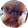 avatar of Connor_binder