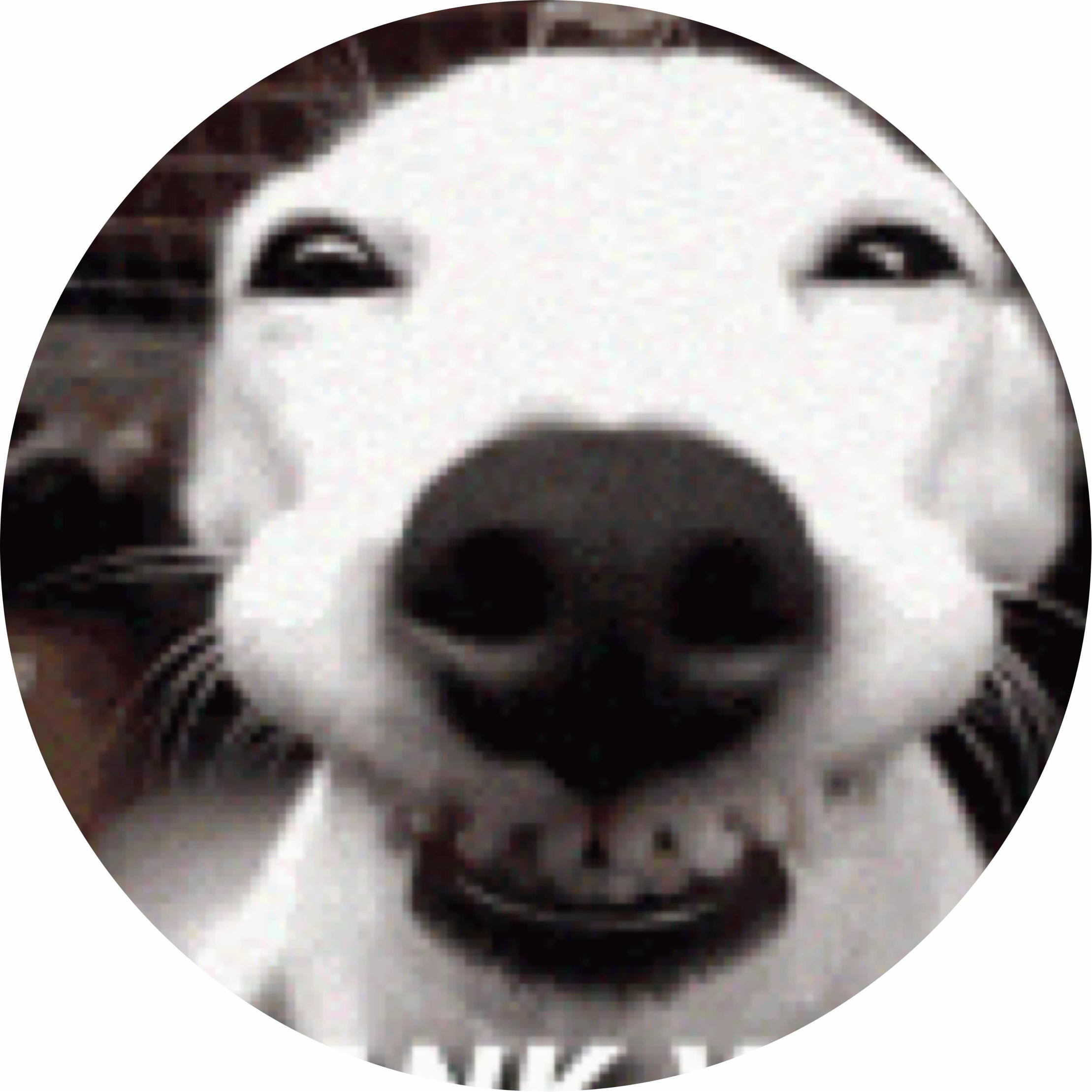 avatar of Simon 092