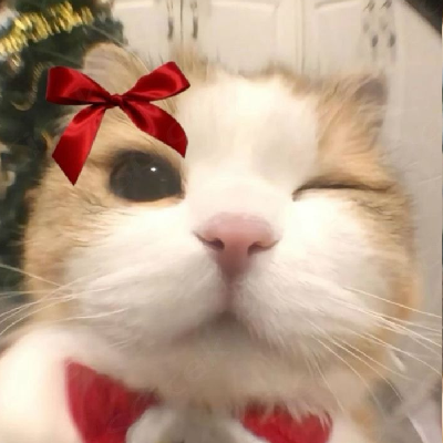 avatar of mimiki_cafe