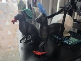 Low Poly Cat Statue With Magnet Accessories-3