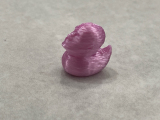 DwaneTheDuck-3