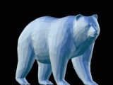 Bear-1