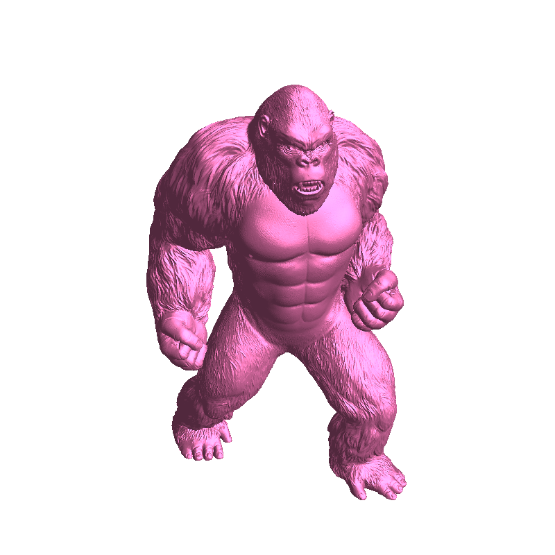 kongp1