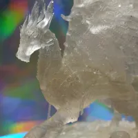 Forest Dragon-2