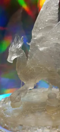 Forest Dragon-2