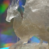 Forest Dragon-2
