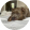 avatar of Ilovedogs