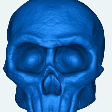 skull of illu-0