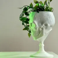 SCULL GOBLET - PRINT IN PLACE-1