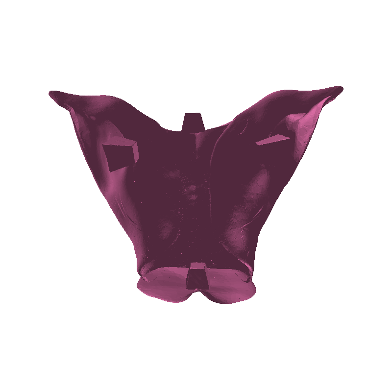 Goldorak Actarus