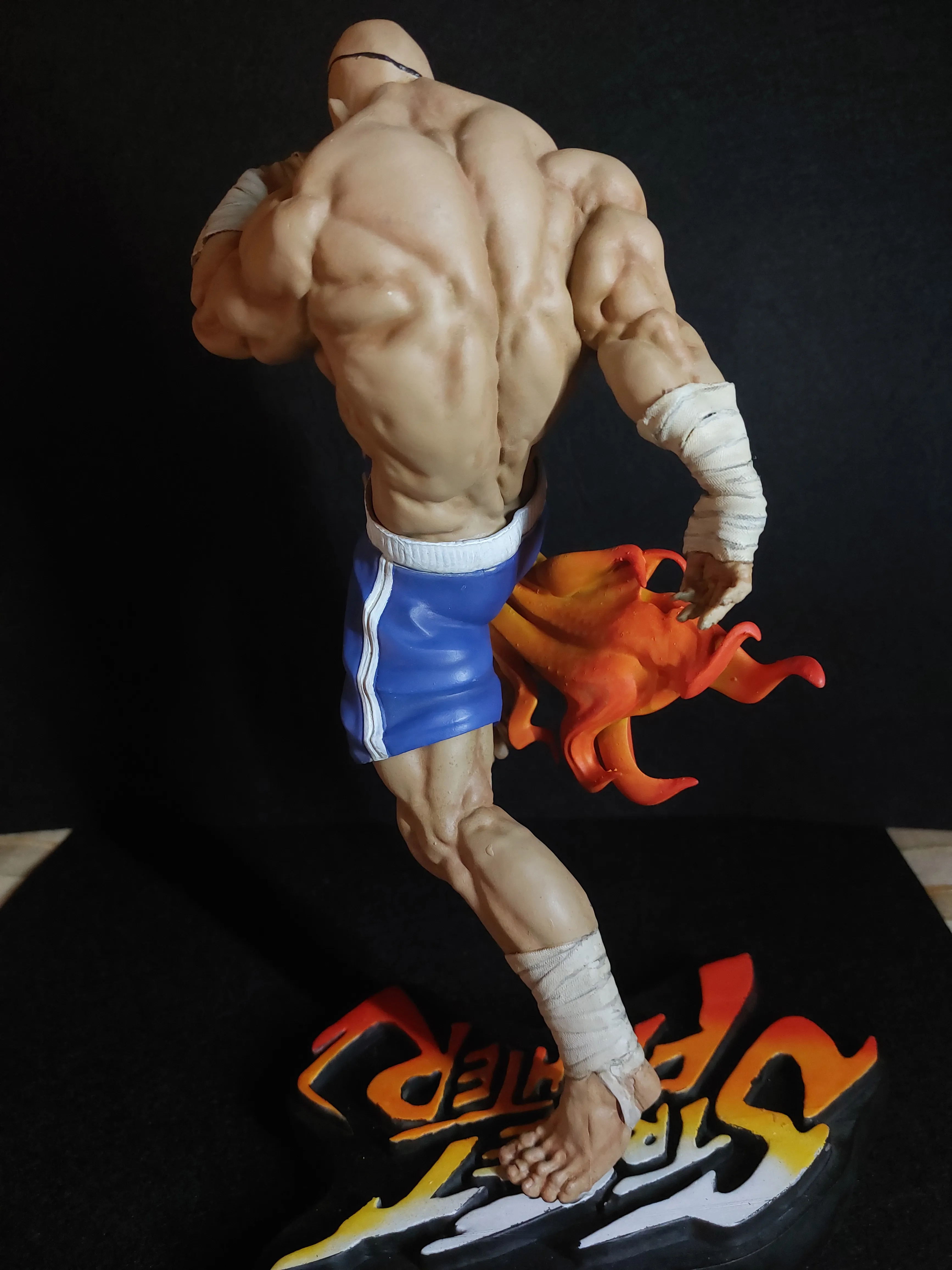 Sagat FanArt (1/6 scale)-2