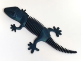 flexy the gecko-0