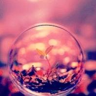 avatar of mransari998