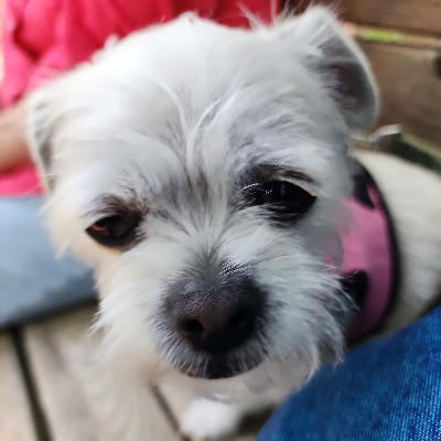 avatar of north_of_45