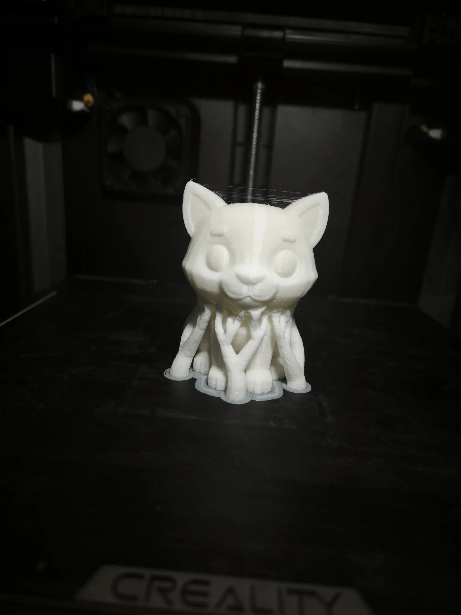 Mini Cat-0