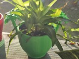 Pot -5