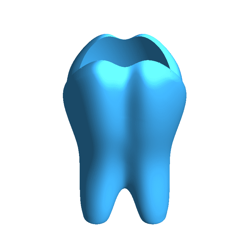 للأسنان /teeth