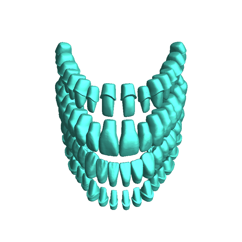 teeth model
