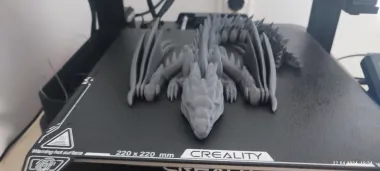 Silver Dragon-1