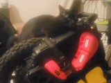 EUC Cat-2