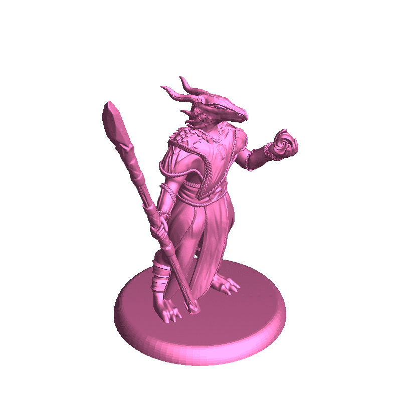 Dragonborn Sorceress - Tabletop Miniature