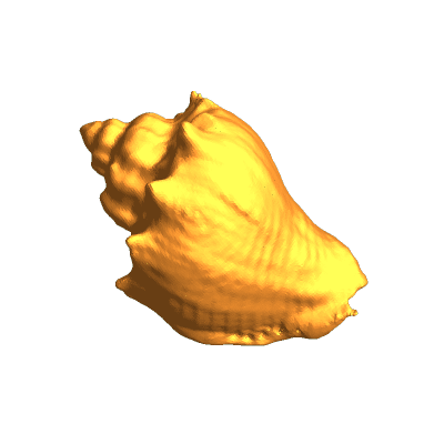 Scanned Seashell - Small