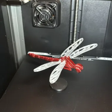 Voronoi Dragonfly

-1