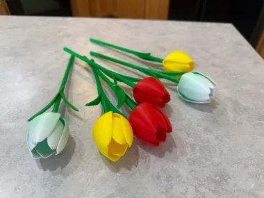 Decorative Tulip - Art - PLA - 3D printed product - фото 16