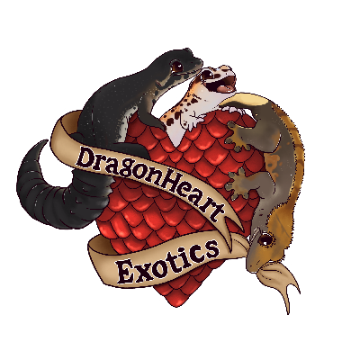 avatar of Dragonheartexotics
