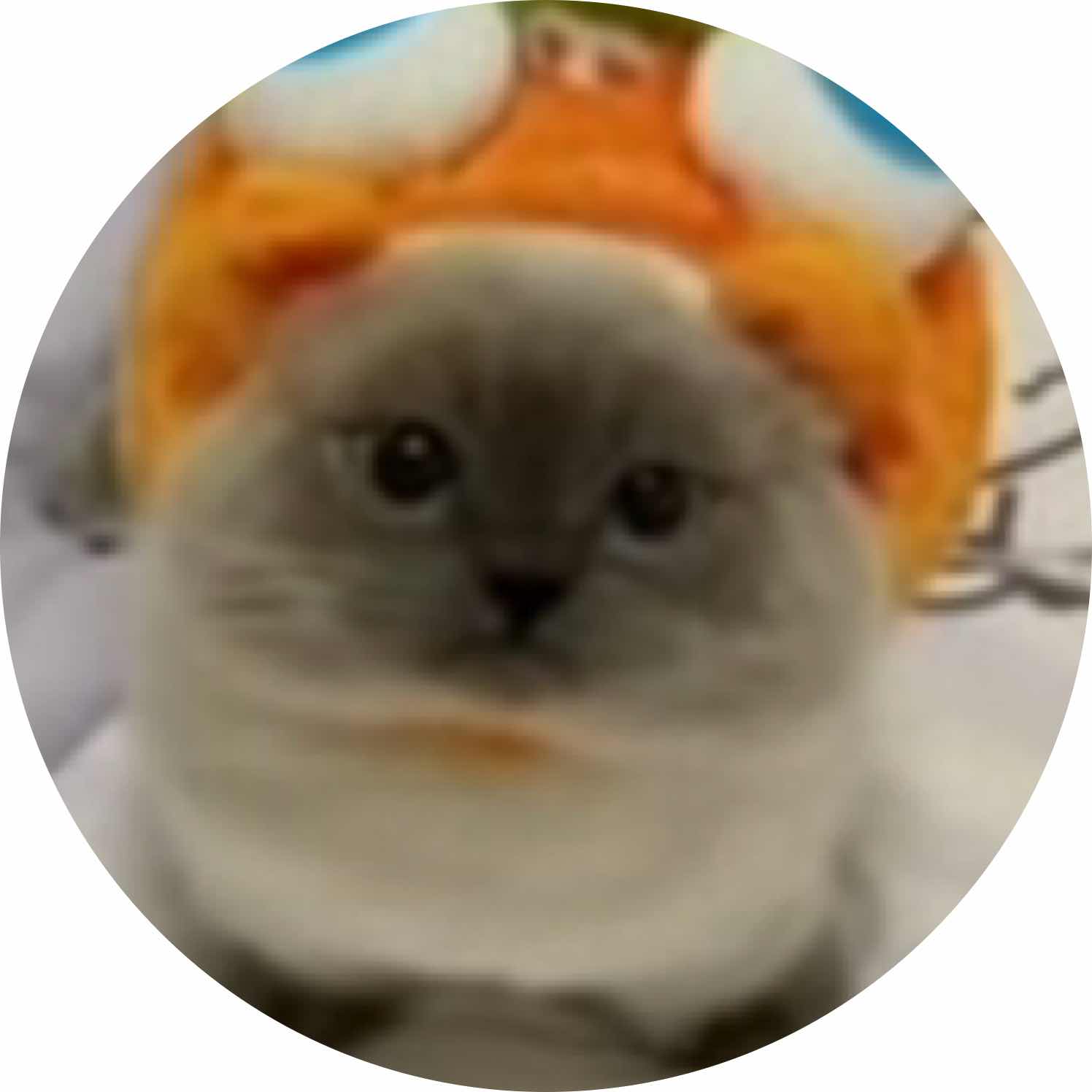 avatar of DuckingDodo