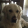 avatar of user2727329204
